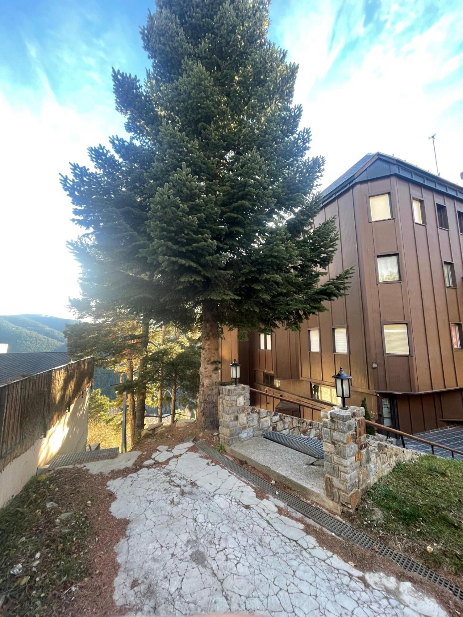Apartamento Acogedor En La Molina, 2Hab, Wi Fi La Molina  Exterior photo